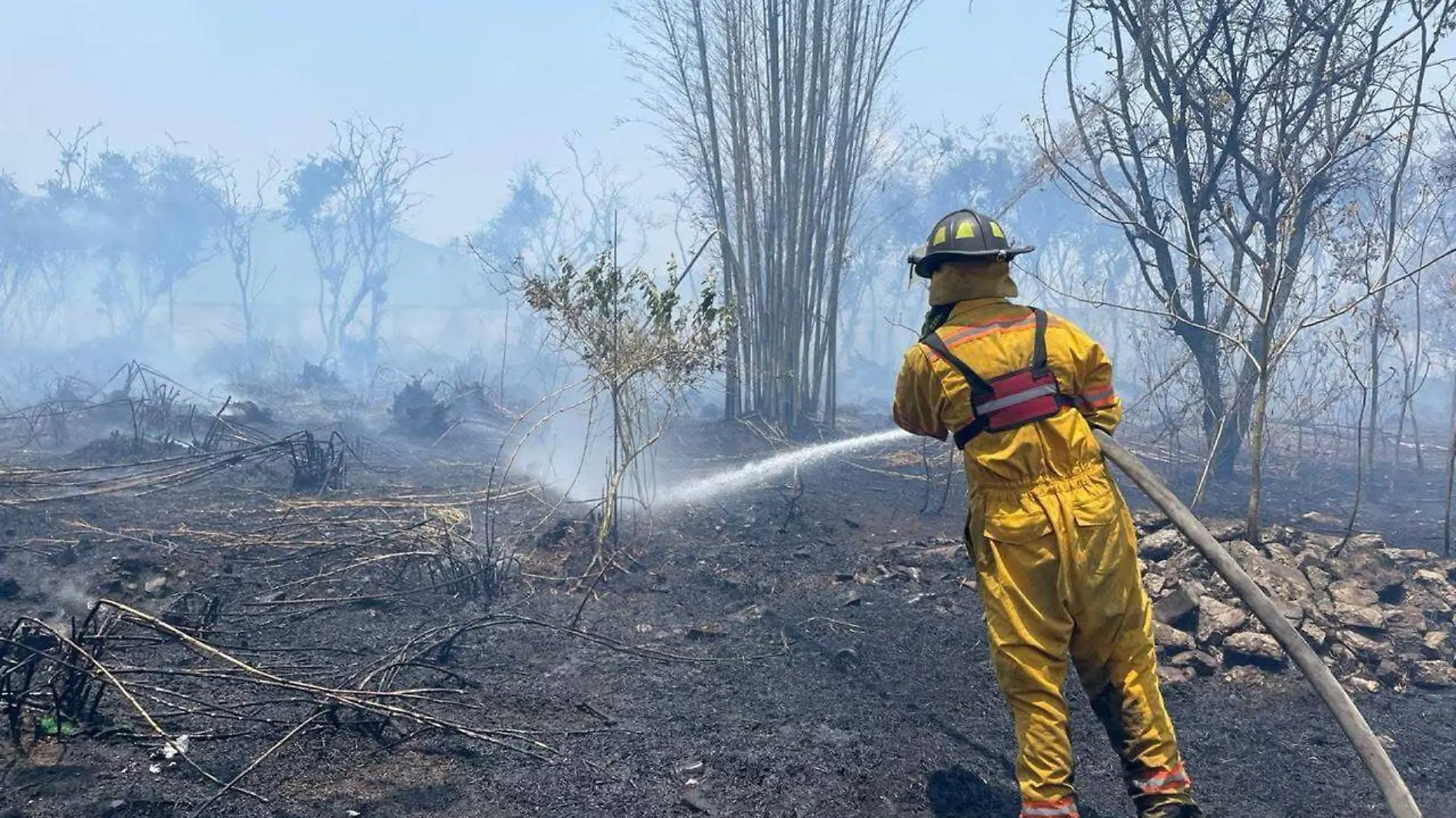 Bomberos regionales-1